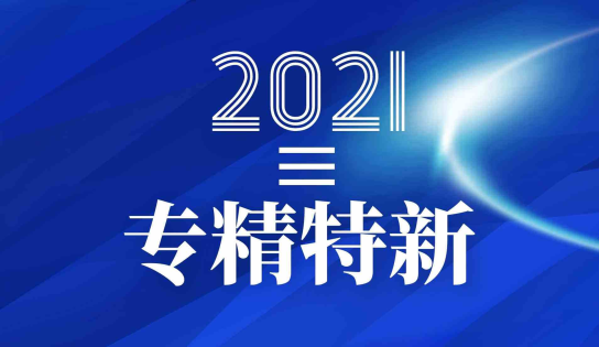 我司荣获浙江省“专精特新”中小企业